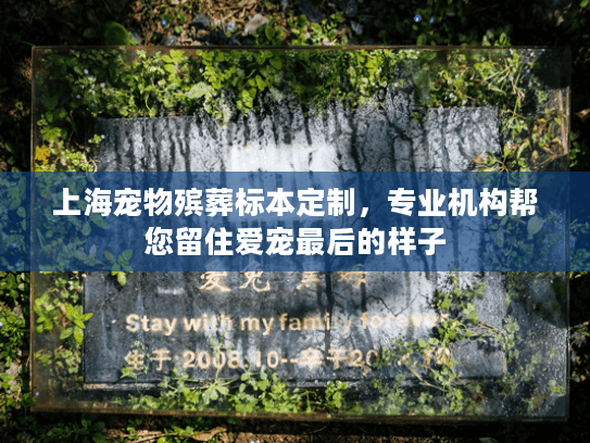 上海宠物殡葬标本定制，专业机构帮您留住爱宠最后的样子
