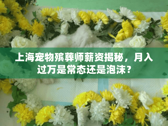 上海宠物殡葬师薪资揭秘，月入过万是常态还是泡沫？