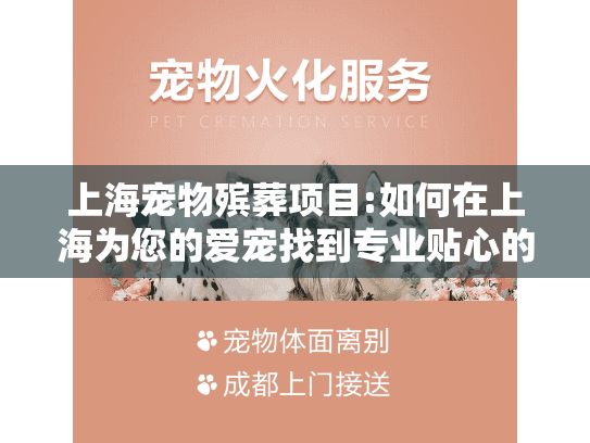 上海宠物殡葬项目:如何在上海为您的爱宠找到专业贴心的告别服务?