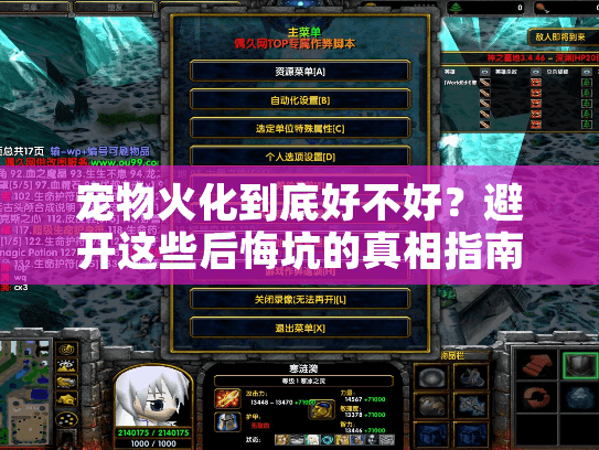 宠物火化到底好不好?避开这些后悔坑的真相指南 宠物火化到底好不好?避开这些后悔坑的真相指南