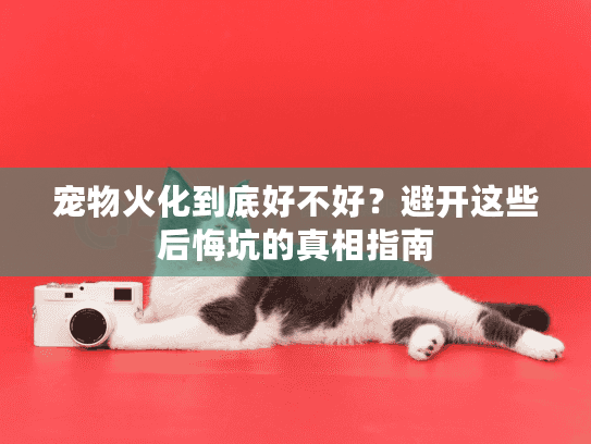 宠物火化到底好不好?避开这些后悔坑的真相指南 宠物火化到底好不好?避开这些后悔坑的真相指南