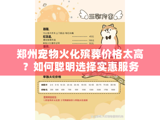 郑州宠物火化殡葬价格太高？如何聪明选择实惠服务