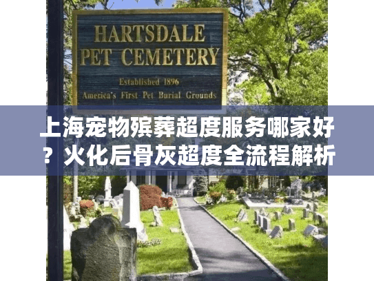 上海宠物殡葬超度服务哪家好？火化后骨灰超度全流程解析