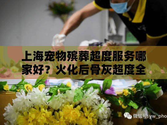 上海宠物殡葬超度服务哪家好？火化后骨灰超度全流程解析