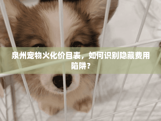 泉州宠物火化价目表，如何识别隐藏费用陷阱？