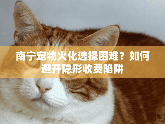 南宁宠物火化选择困难？如何避开隐形收费陷阱