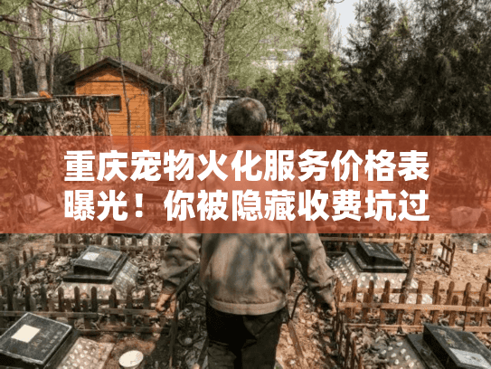 重庆宠物火化服务价格表曝光！你被隐藏收费坑过吗？