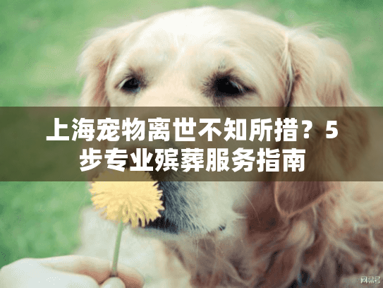 上海宠物离世不知所措？5步专业殡葬服务指南