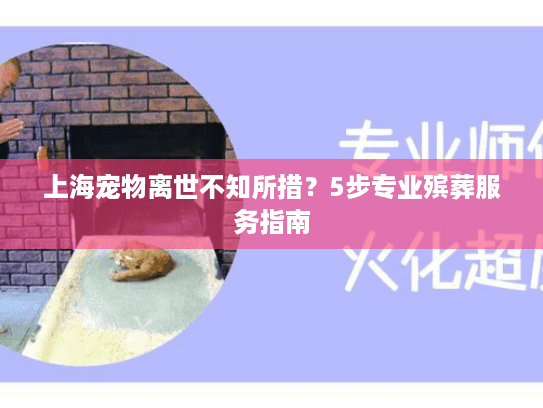 上海宠物离世不知所措？5步专业殡葬服务指南