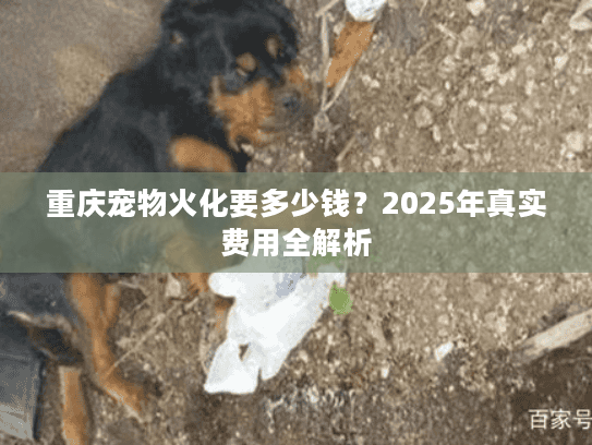 重庆宠物火化要多少钱?2025年真实费用全解析 重庆宠物火化要多少钱?2025年真实费用全解析