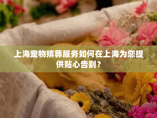 上海宠物殡葬服务如何在上海为您提供贴心告别？