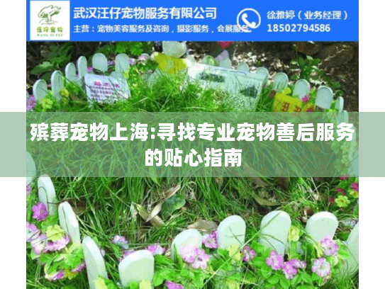 殡葬宠物上海:寻找专业宠物善后服务的贴心指南
