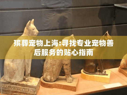 殡葬宠物上海:寻找专业宠物善后服务的贴心指南