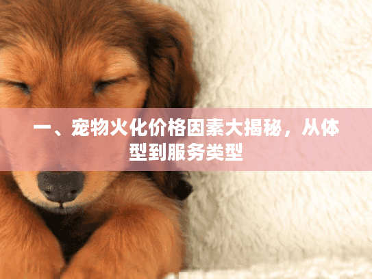 一、宠物火化价格因素大揭秘，从体型到服务类型