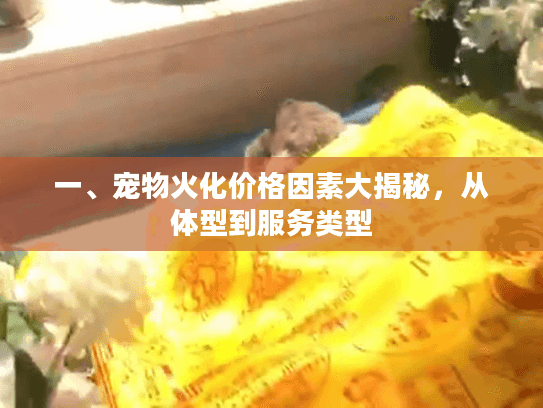 一、宠物火化价格因素大揭秘，从体型到服务类型