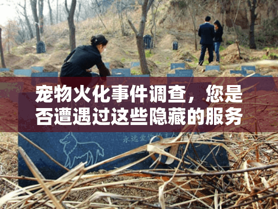 宠物火化事件调查，您是否遭遇过这些隐藏的服务陷阱？