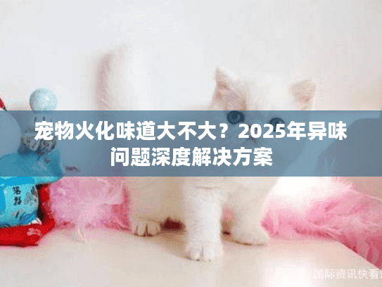 宠物火化味道大不大？2025年异味问题深度解决方案