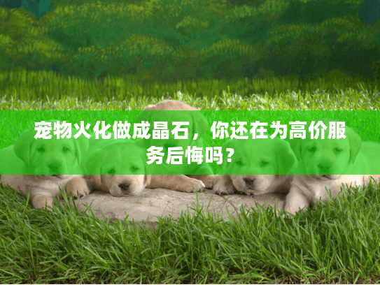 宠物火化做成晶石，你还在为高价服务后悔吗？