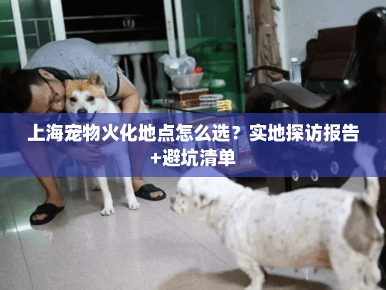 上海宠物火化地点怎么选？实地探访报告+避坑清单