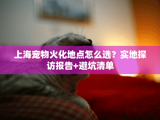 上海宠物火化地点怎么选？实地探访报告+避坑清单
