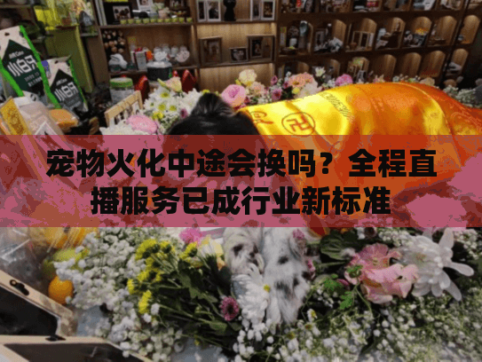 宠物火化中途会换吗？全程直播服务已成行业新标准