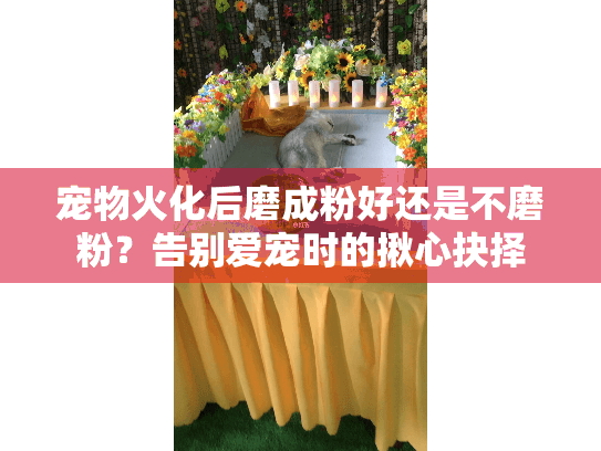 宠物火化后磨成粉好还是不磨粉？告别爱宠时的揪心抉择