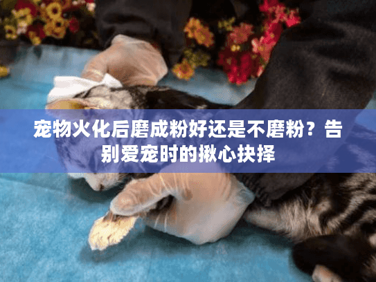 宠物火化后磨成粉好还是不磨粉？告别爱宠时的揪心抉择