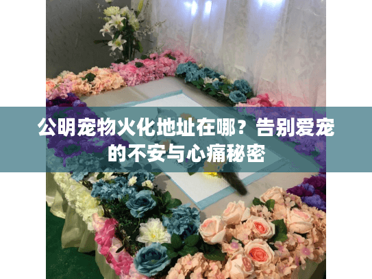 公明宠物火化地址在哪?告别爱宠的不安与心痛秘密 公明宠物火化地址在哪?告别爱宠的不安与心痛秘密