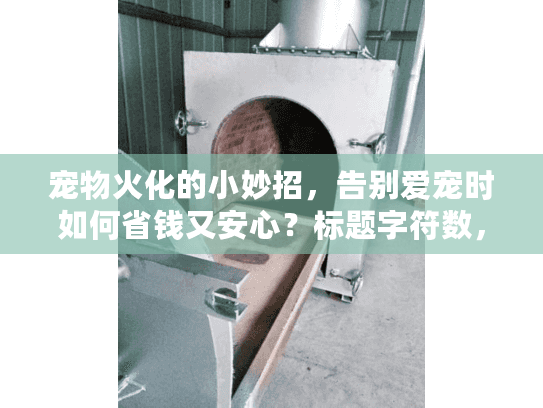 宠物火化的小妙招，告别爱宠时如何省钱又安心？标题字符数，42）