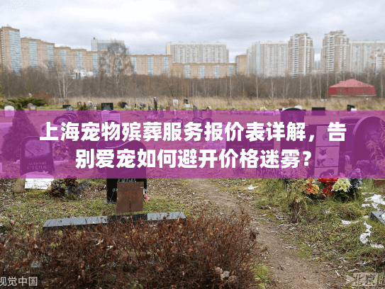 上海宠物殡葬服务报价表详解，告别爱宠如何避开价格迷雾？