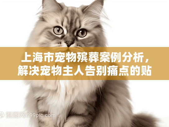 上海市宠物殡葬案例分析，解决宠物主人告别痛点的贴心方案