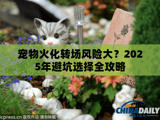 宠物火化转场风险大?2025年避坑选择全攻略 宠物火化转场风险大?2025年避坑选择全攻略
