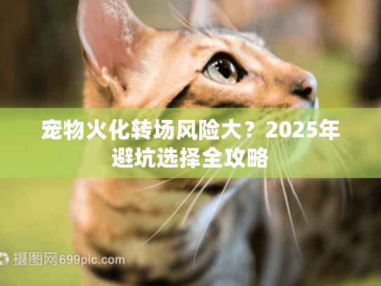 宠物火化转场风险大？2025年避坑选择全攻略