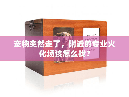 宠物突然走了,附近的专业火化场该怎么找? 宠物突然走了,附近的专业火化场该怎么找?