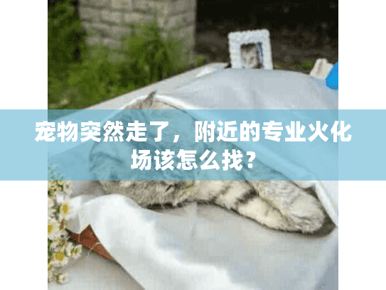 宠物突然走了,附近的专业火化场该怎么找? 宠物突然走了,附近的专业火化场该怎么找?