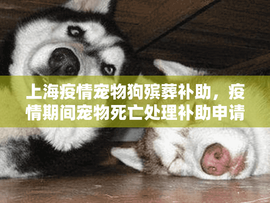 上海疫情宠物狗殡葬补助，疫情期间宠物死亡处理补助申请指南