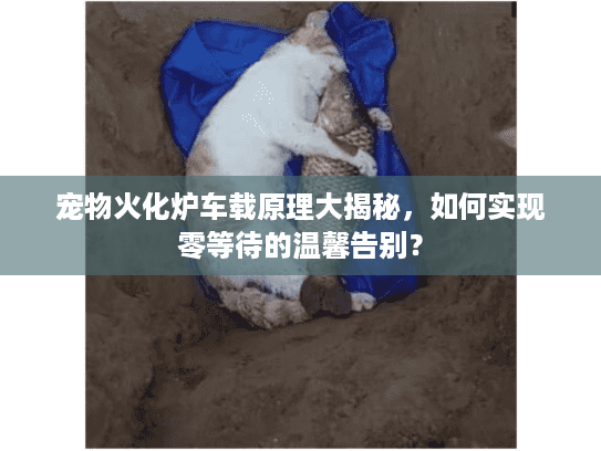 宠物火化炉车载原理大揭秘，如何实现零等待的温馨告别？