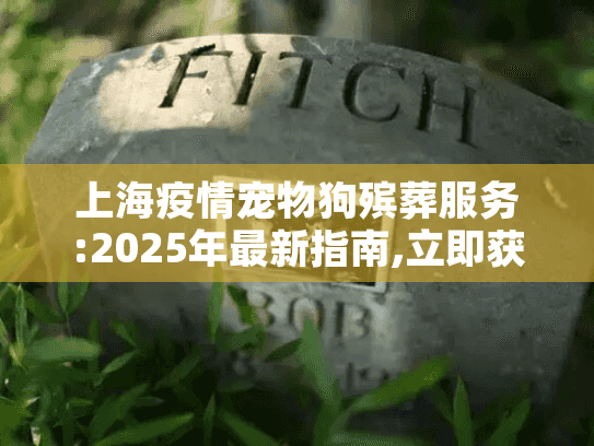 上海疫情宠物狗殡葬服务:2025年最新指南,立即获取帮助!