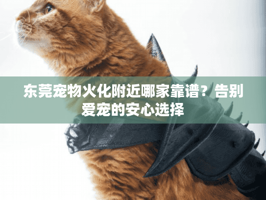 东莞宠物火化附近哪家靠谱？告别爱宠的安心选择