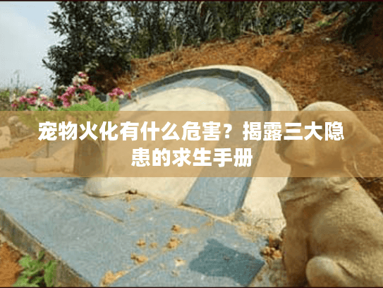 宠物火化有什么危害？揭露三大隐患的求生手册