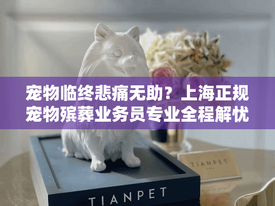 宠物临终悲痛无助？上海正规宠物殡葬业务员专业全程解忧