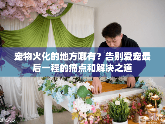 宠物火化的地方哪有?告别爱宠最后一程的痛点和解决之道 宠物火化的地方哪有?告别爱宠最后一程的痛点和解决之道