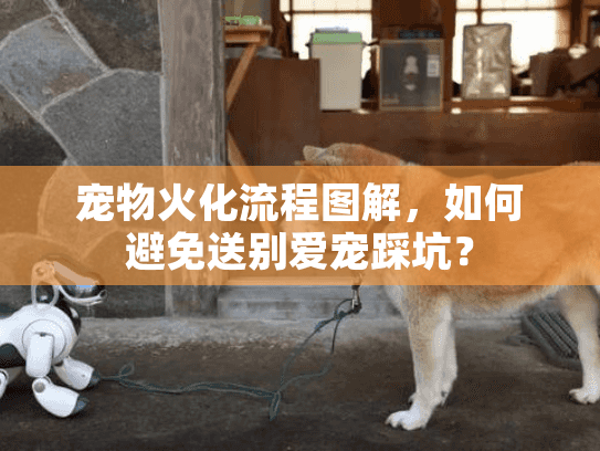 宠物火化流程图解，如何避免送别爱宠踩坑？