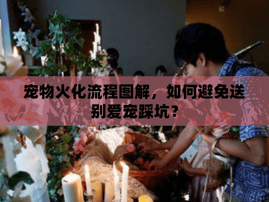 宠物火化流程图解，如何避免送别爱宠踩坑？