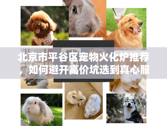 北京市平谷区宠物火化炉推荐，如何避开高价坑选到真心服务？
