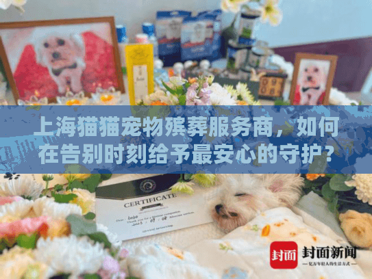 上海猫猫宠物殡葬服务商，如何在告别时刻给予最安心的守护？