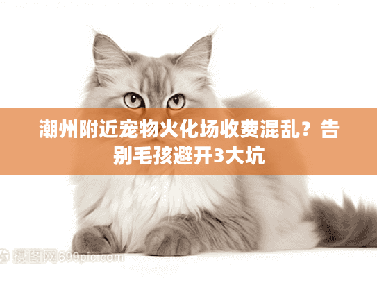 潮州附近宠物火化场收费混乱？告别毛孩避开3大坑