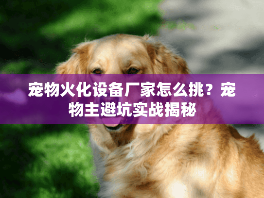 宠物火化设备厂家怎么挑？宠物主避坑实战揭秘