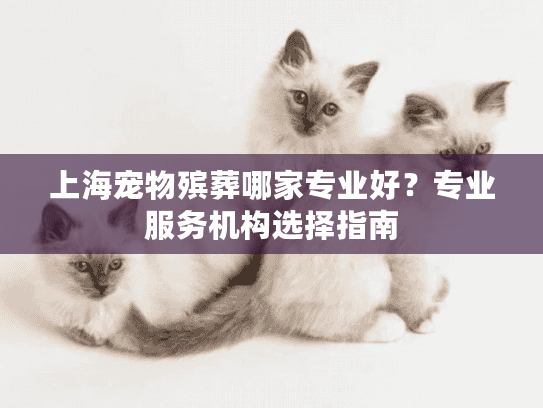 上海宠物殡葬哪家专业好？专业服务机构选择指南