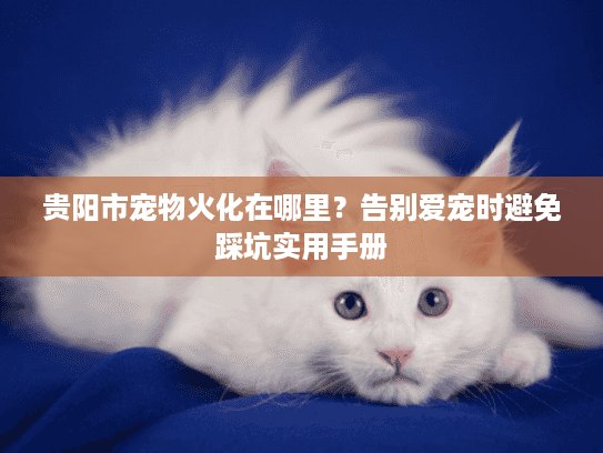 贵阳市宠物火化在哪里？告别爱宠时避免踩坑实用手册